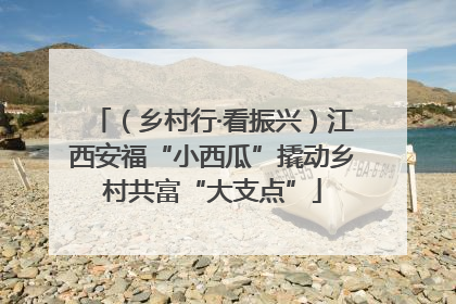 （乡村行·看振兴）江西安福“小西瓜”撬动乡村共富“大支点”