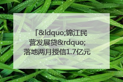 “锦江民营发展贷”落地两月授信1.7亿元，惠及118家民企