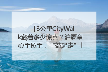 3公里CityWalk藏着多少惊喜？沪疆童心手拉手，“益起走”