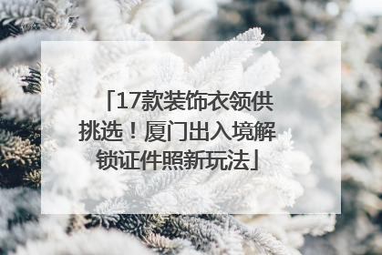 17款装饰衣领供挑选！厦门出入境解锁证件照新玩法
