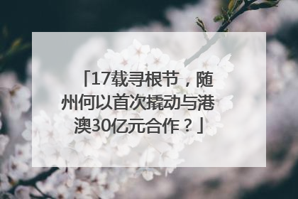 17载寻根节，随州何以首次撬动与港澳30亿元合作？