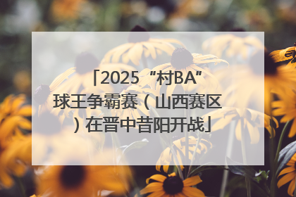 2025“村BA”球王争霸赛（山西赛区）在晋中昔阳开战