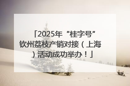 2025年“桂字号”钦州荔枝产销对接（上海）活动成功举办！