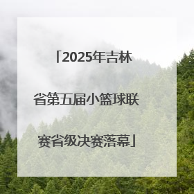 2025年吉林省第五届小篮球联赛省级决赛落幕