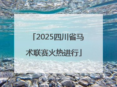 2025四川省马术联赛火热进行