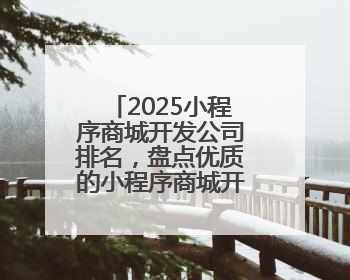 2025小程序商城开发公司排名，盘点优质的小程序商城开发公司