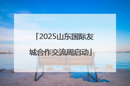 2025山东国际友城合作交流周启动
