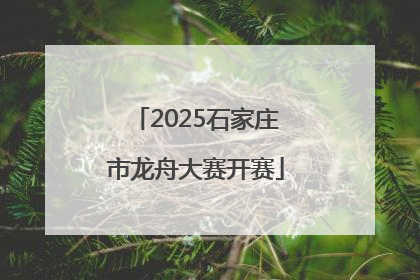 2025石家庄市龙舟大赛开赛