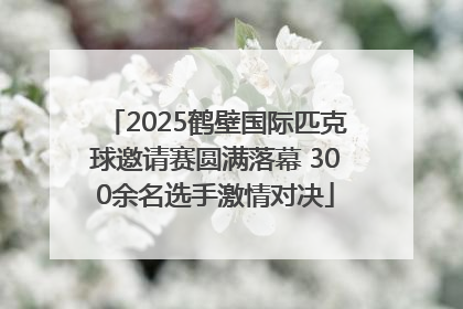 2025鹤壁国际匹克球邀请赛圆满落幕 300余名选手激情对决
