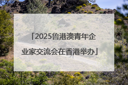 2025鲁港澳青年企业家交流会在香港举办