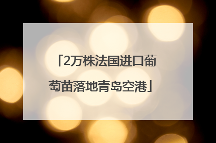 2万株法国进口葡萄苗落地青岛空港