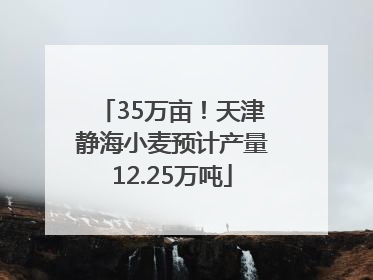 35万亩！天津静海小麦预计产量12.25万吨