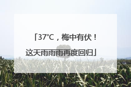 37℃，梅中有伏！这天雨雨雨再度回归