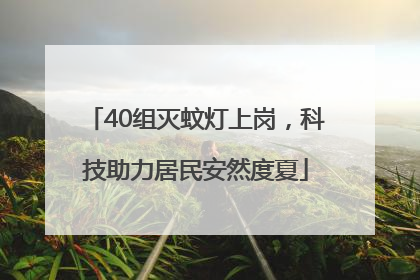 40组灭蚊灯上岗，科技助力居民安然度夏