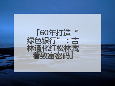 60年打造“绿色银行”：吉林通化红松林藏着致富密码