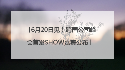 6月20日见！跨国公司峰会首发SHOW嘉宾公布
