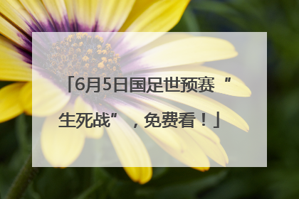 6月5日国足世预赛“生死战”，免费看！