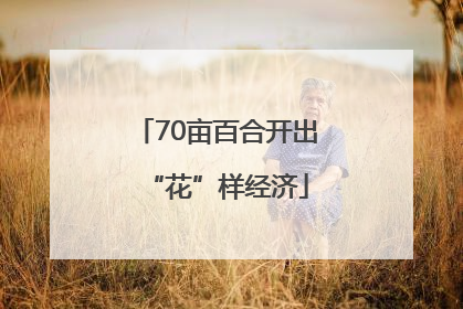 70亩百合开出“花”样经济