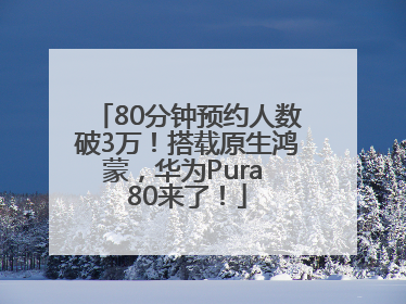 80分钟预约人数破3万！搭载原生鸿蒙，华为Pura 80来了！