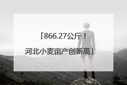 866.27公斤！河北小麦亩产创新高