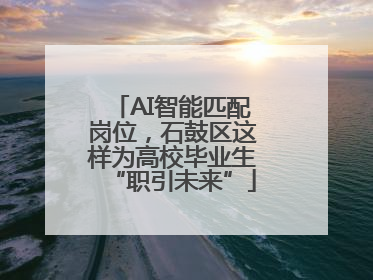 AI智能匹配岗位，石鼓区这样为高校毕业生“职引未来”