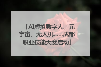 AI虚拟数字人、元宇宙、无人机……成都职业技能大赛启动