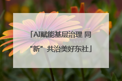 AI赋能基层治理 同“新”共治美好东社