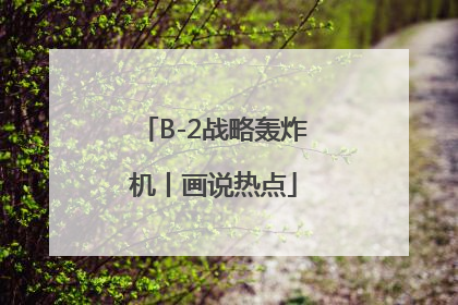 B-2战略轰炸机丨画说热点