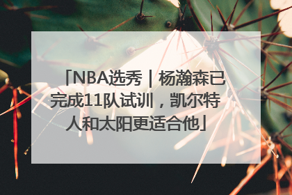 NBA选秀｜杨瀚森已完成11队试训，凯尔特人和太阳更适合他