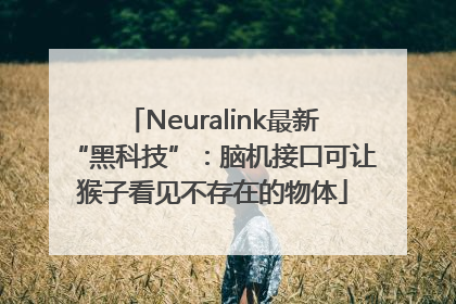 Neuralink最新“黑科技”：脑机接口可让猴子看见不存在的物体